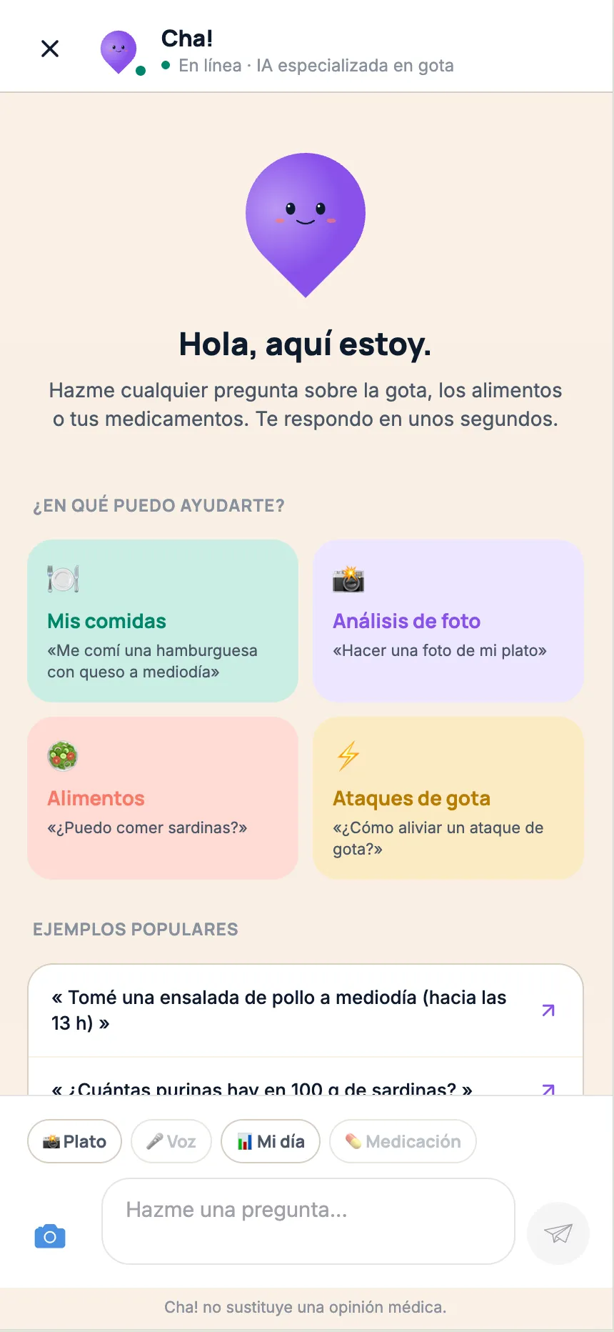 Asistente IA Cha!