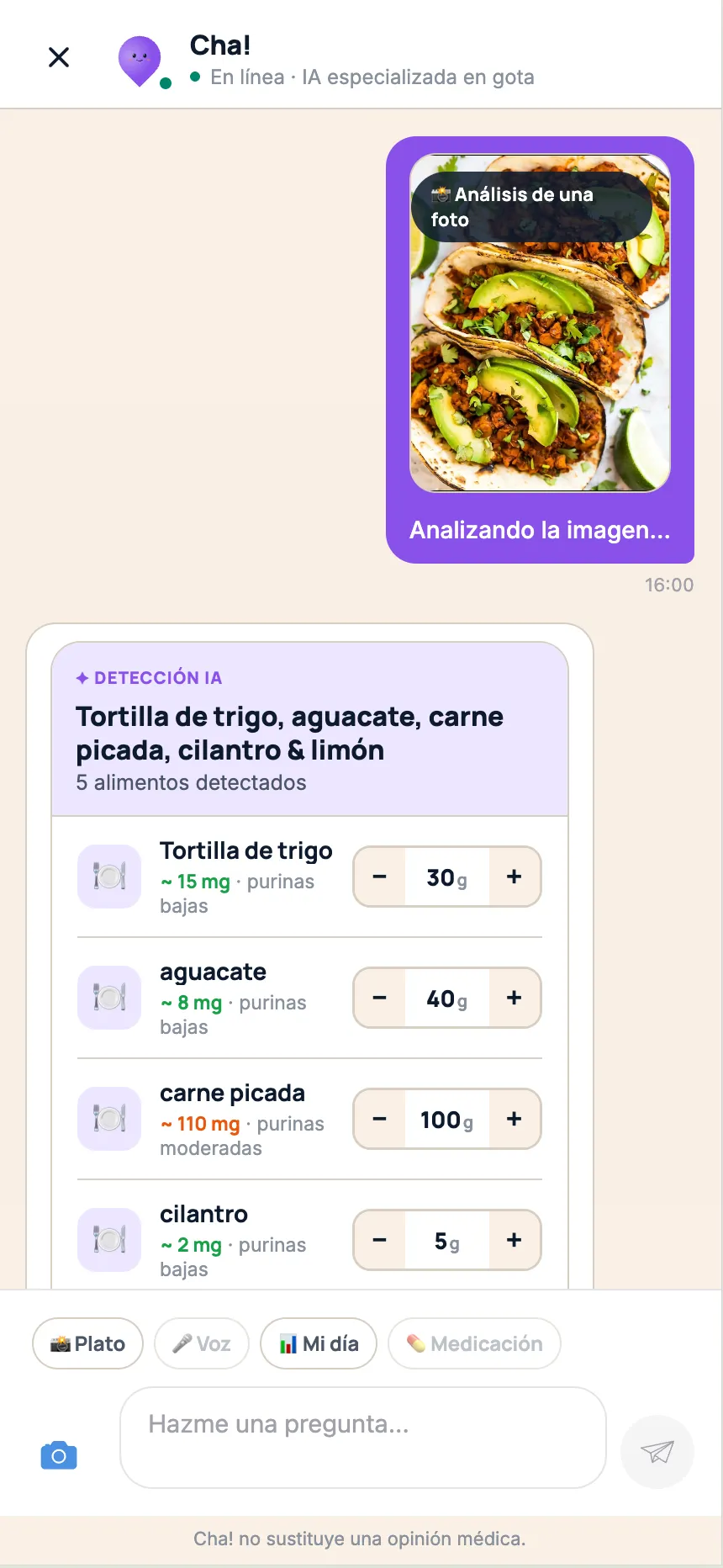Escaneo IA de un plato